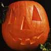 v_pumpkinjack.jpg